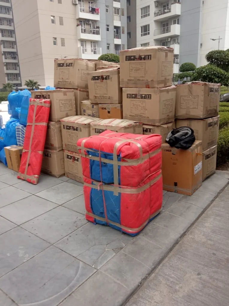 Professional South Logistic Packers & Movers professional moving work